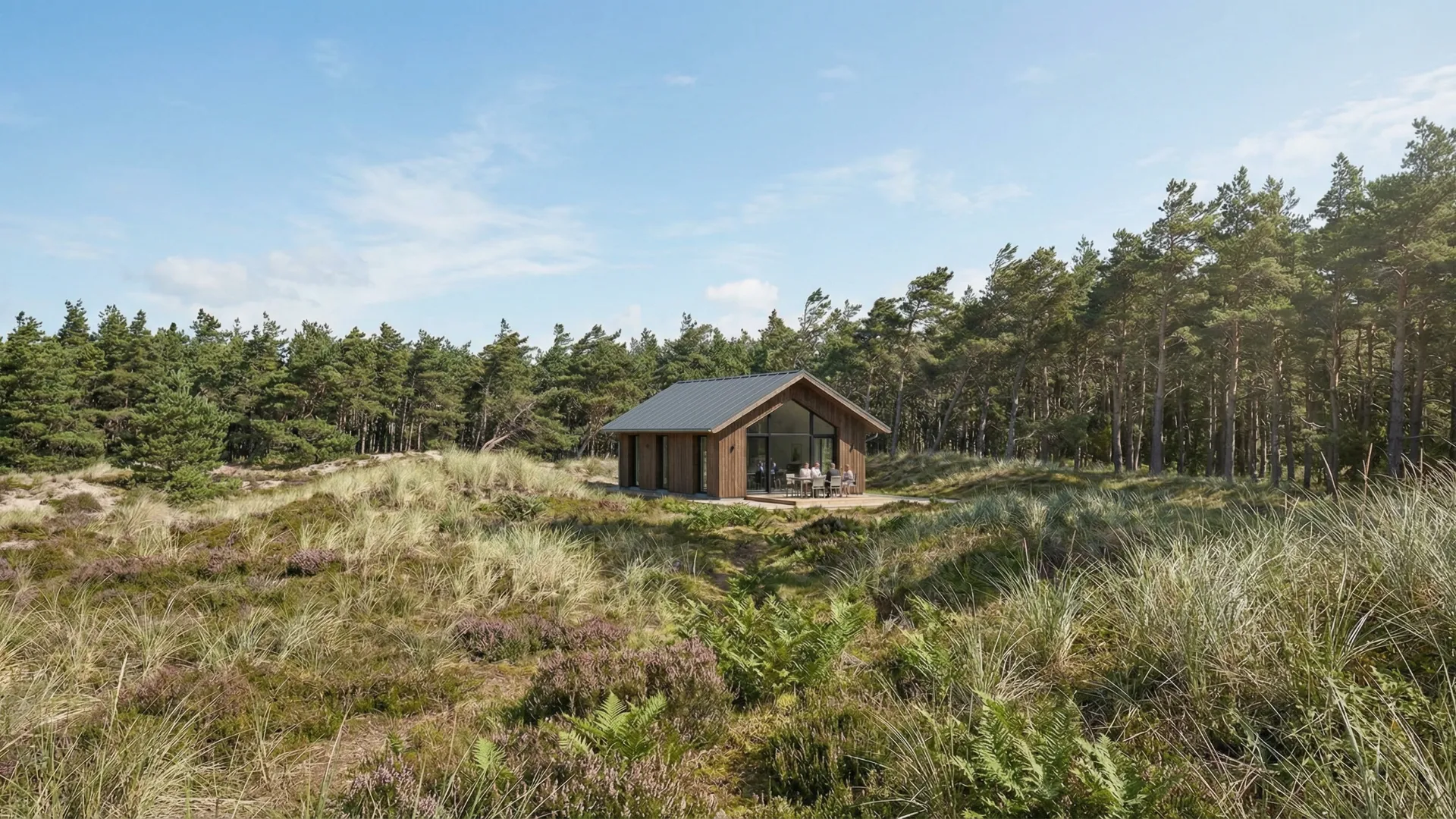 JÄRVI – sodo namo vizualizacija